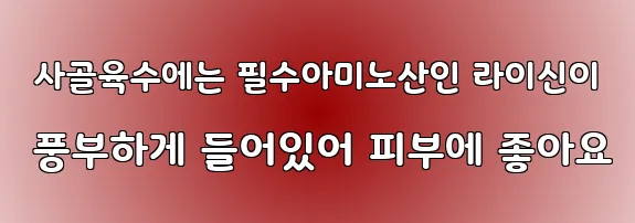  사골육수에는 필수아미노산인 라이신이 풍부하게 들어있어 피부에 좋아요