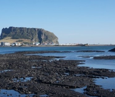 제주도 11월 가볼만한곳