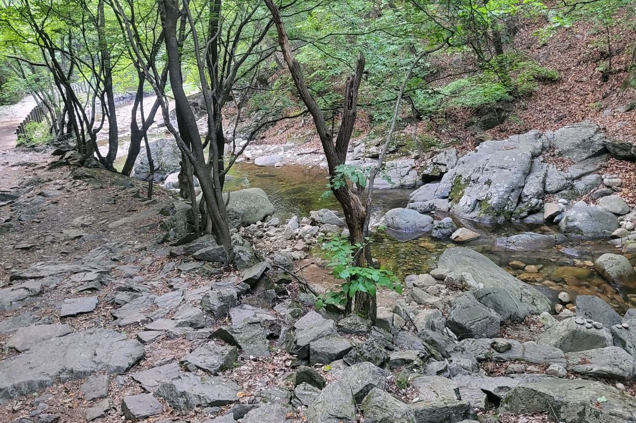 국립유명산자연휴양림