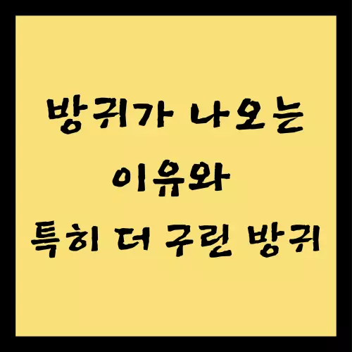 방귀가 나오는 이유