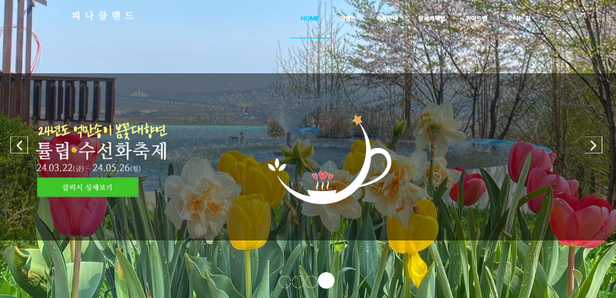 충남 아산시 피나클랜드 튤립/수선화 축제