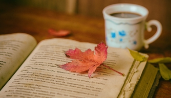 2023 고3 10월 수능전 마지막 모의고사 기출문제 등급컷