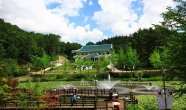 청남대(2025) 예약접수 방법 힐링여행 관련 사진