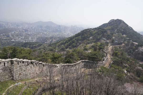 조기 대선 마지막 청와대 관람 신청 예약 방법