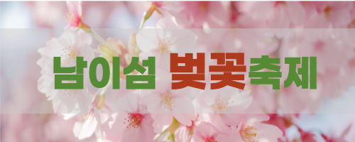 남이섬 벚꽃축제