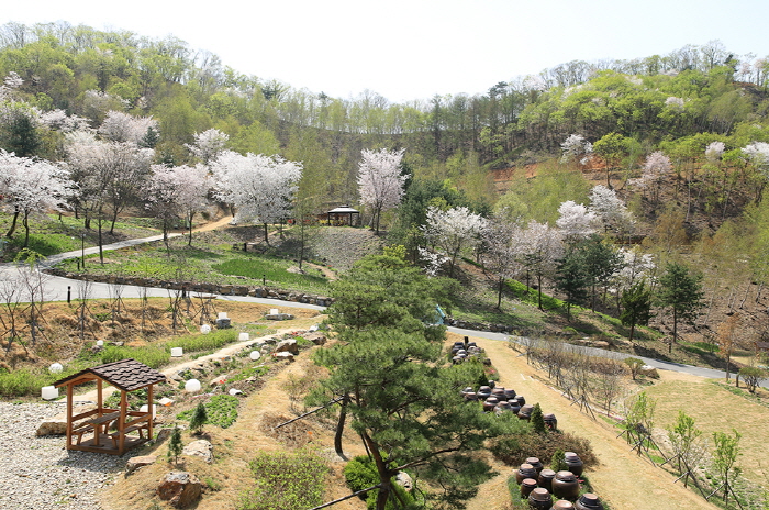 중미산 자연휴양림