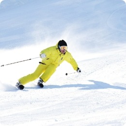 2025/2026 웰리힐리파크 스키장 시즌권 렌탈 할인 완벽 가이드