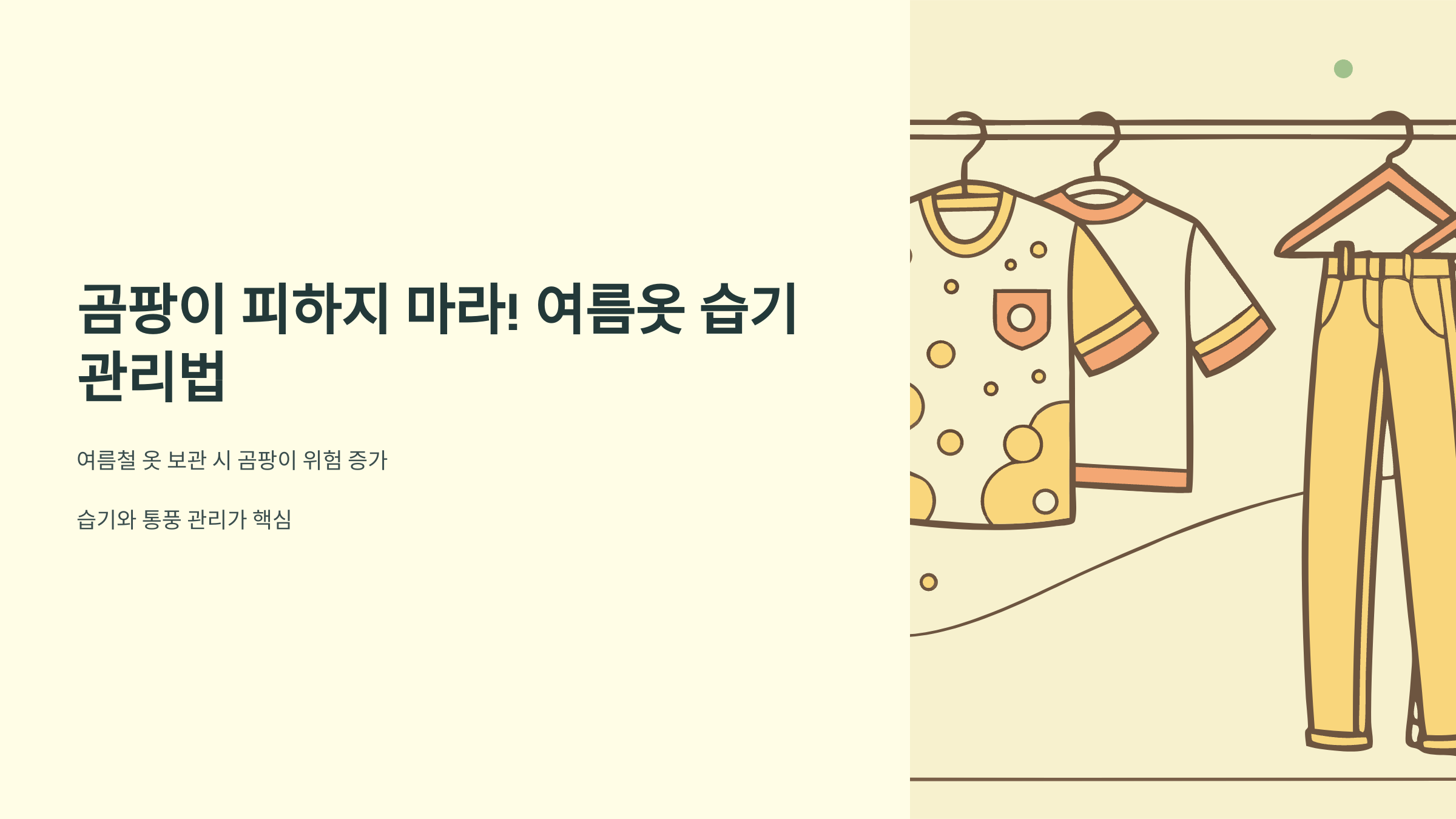 곰팡이 피하지 마라! 여름옷 보관 습기관리