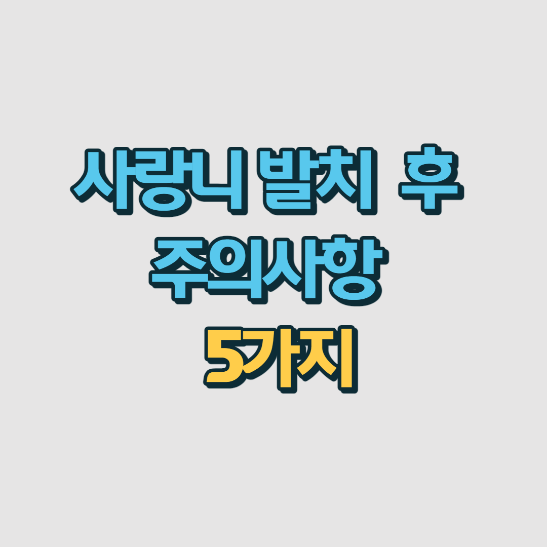 사랑니 발치 후 주의사항