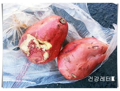 고구마 9