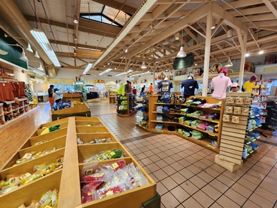 돌플랜테이션의류기념품