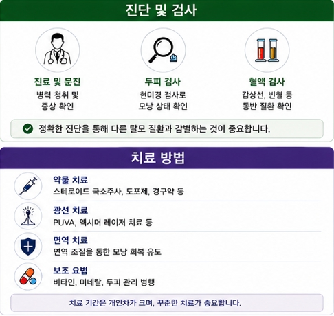 원형탈모이미지