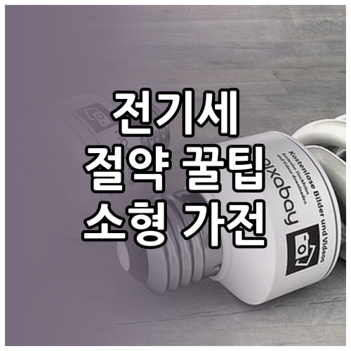 우리 집 전기 요금 다이어트: 소형 ..