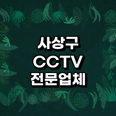 부산 사상구 cctv