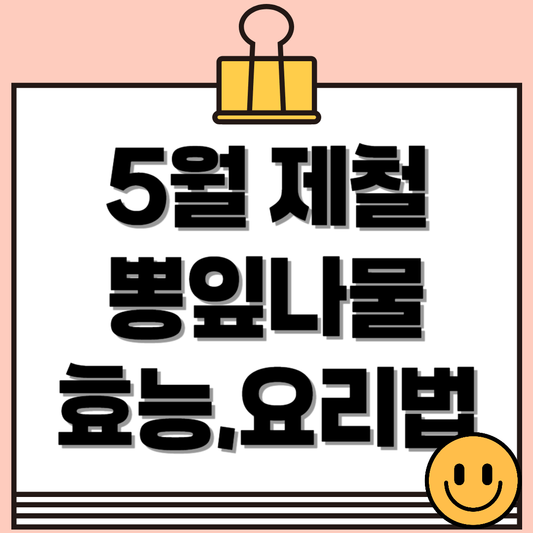 5월 제철 뽕잎나물의 효능과 요리법 총정리