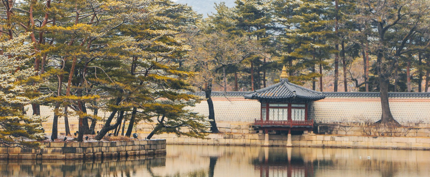 부산 여행 정보