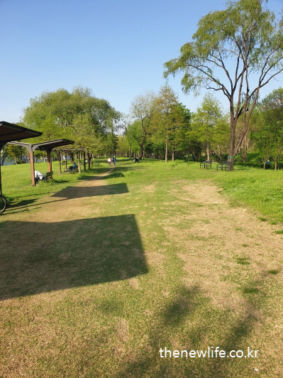 서울 암사생태공원 걷기 좋은 길 &ndash; 그늘 아래 벤치와 잔디가 펼쳐진 자연 휴식 공간