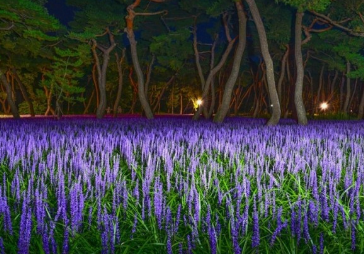 가을에 꼭 가봐야할 경주여행 BEST 5