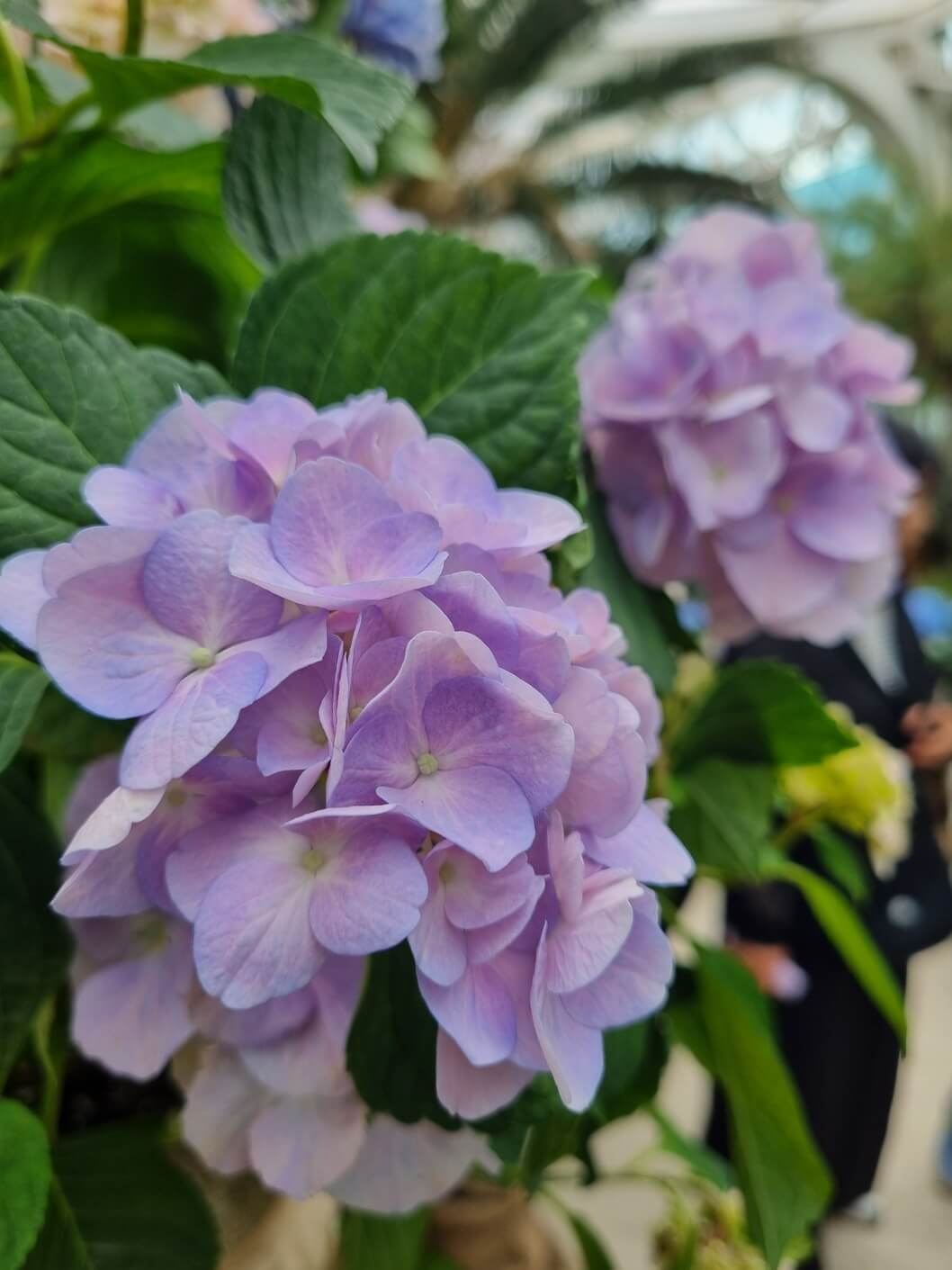 서울식물원 입장료