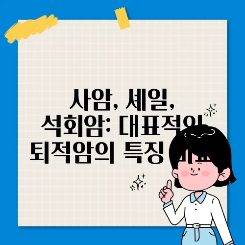 사암, 셰일, 석회암: 대표적인 퇴적암의 특징 비교