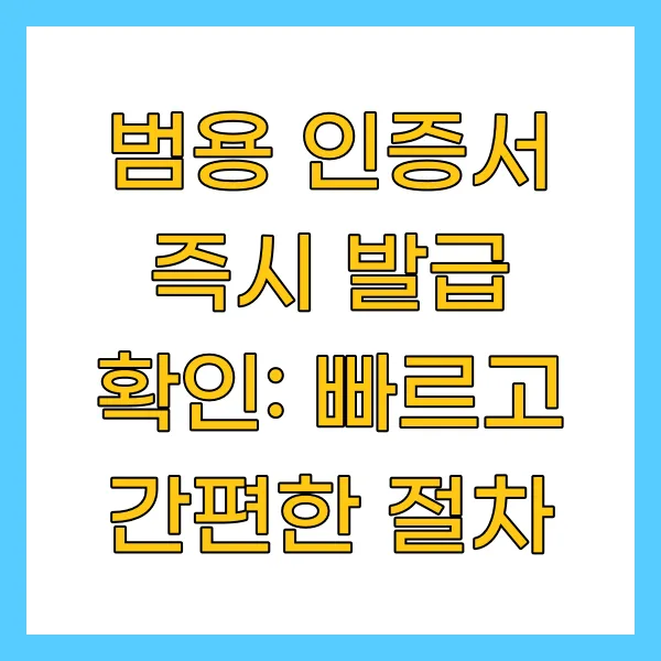 범용 인증서 즉시 발급 확인: 빠르고 간편한 절차