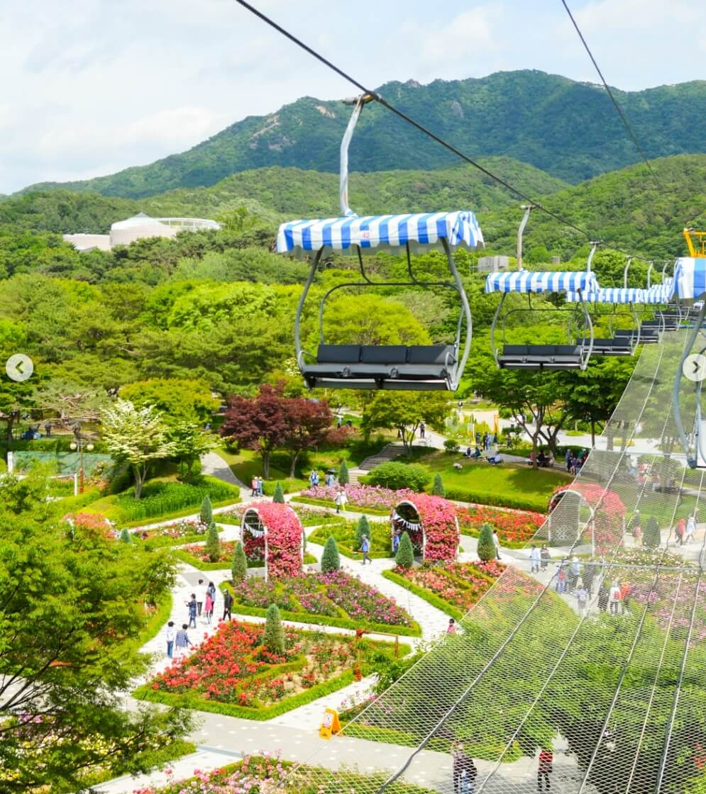 서울대공원-장미축제-사진들