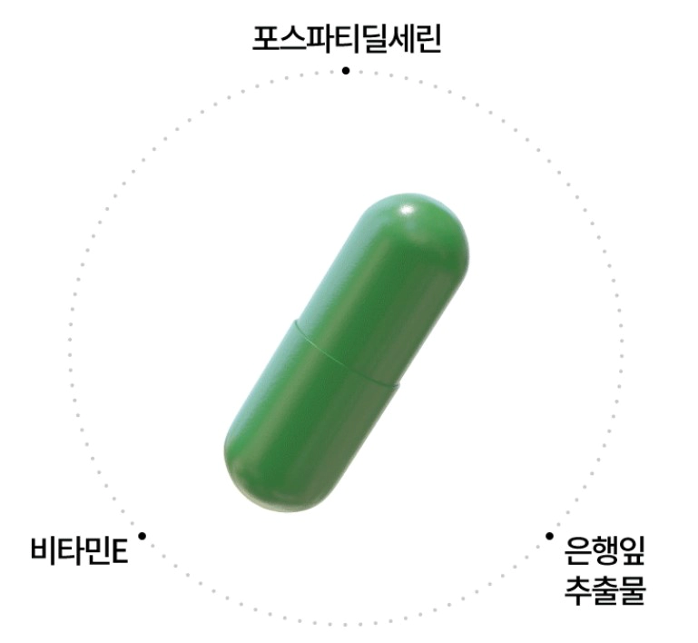 브레인랩 슈타인알파 영양제
