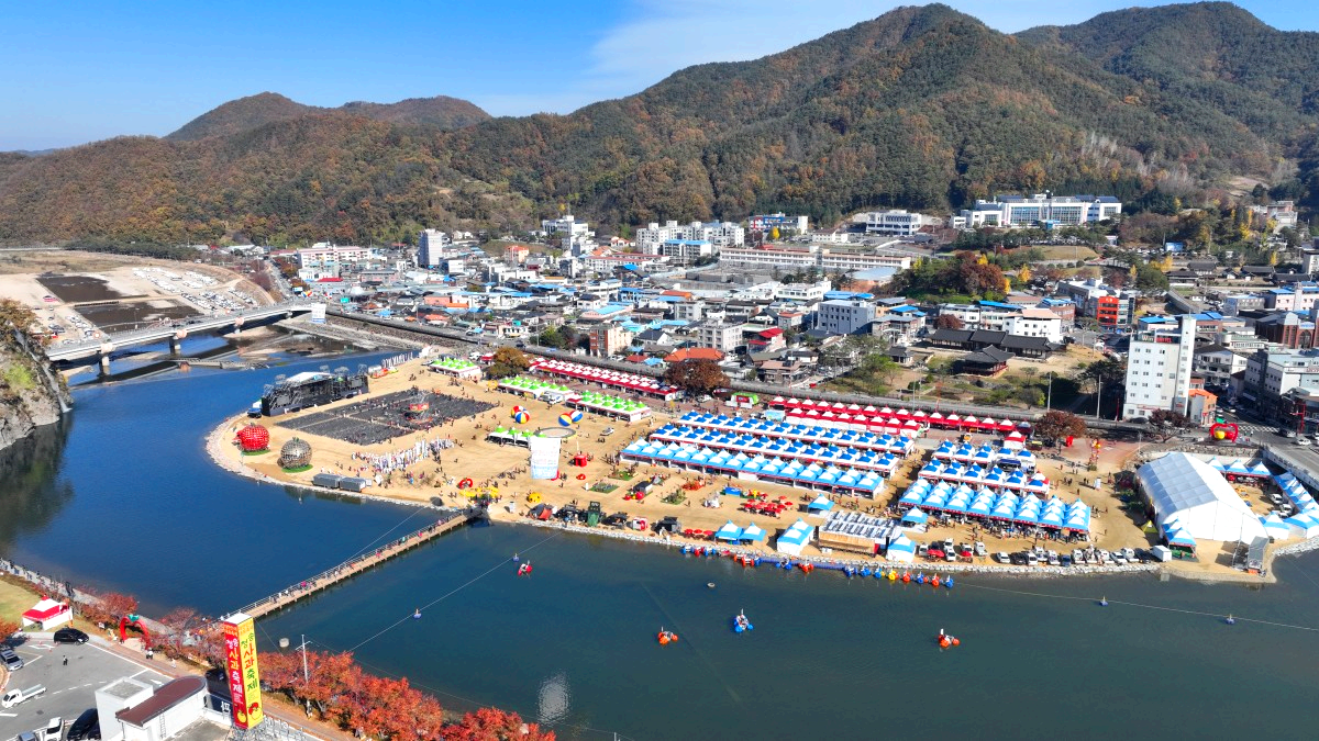 청송사과축제