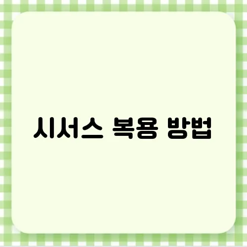 시서스 복용 방법