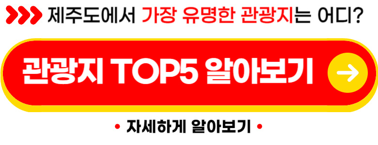 제주 렌트카 비교사이트 최저가 (실제후기)