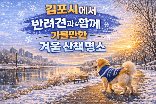 김포 반려견 겨울 나들이 명소, 강아지와 함께 산책하기 좋은 곳 추천