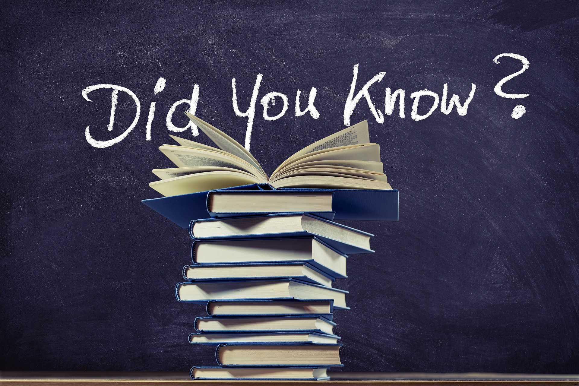 영어 독해의 기본은 기본 단어를 많이 알아 두는 것과

문법에 대한 어느정도 이해를 바탕으로 잡을 수 있습니다.

단어를 많이 알고 있고, 문법에 대한 지식이 합쳐지면

어떤 글을 읽어도 대략적인 이해가 가능하게 됩니다.