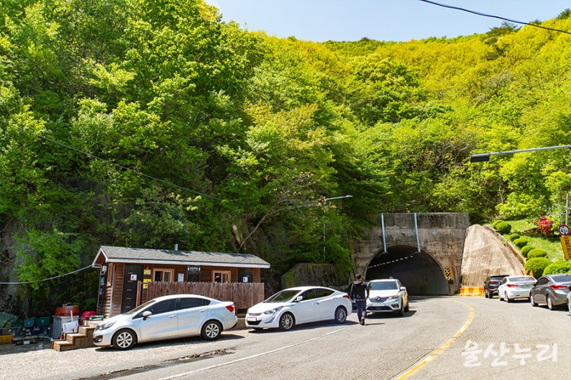 가지산 석남터널 주차