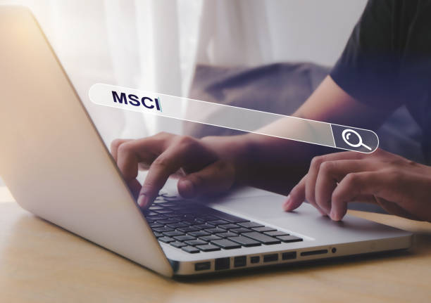 msci 편입 편출 한국지수 뜻 지수 일정 한화시스템 발표 5월 정기 리뷰 란 종목 발표 시간 한국지수란 acwi 선진국 지수 리밸런싱 한화시스템 삼양식품 에코프로머티 엔씨소프트