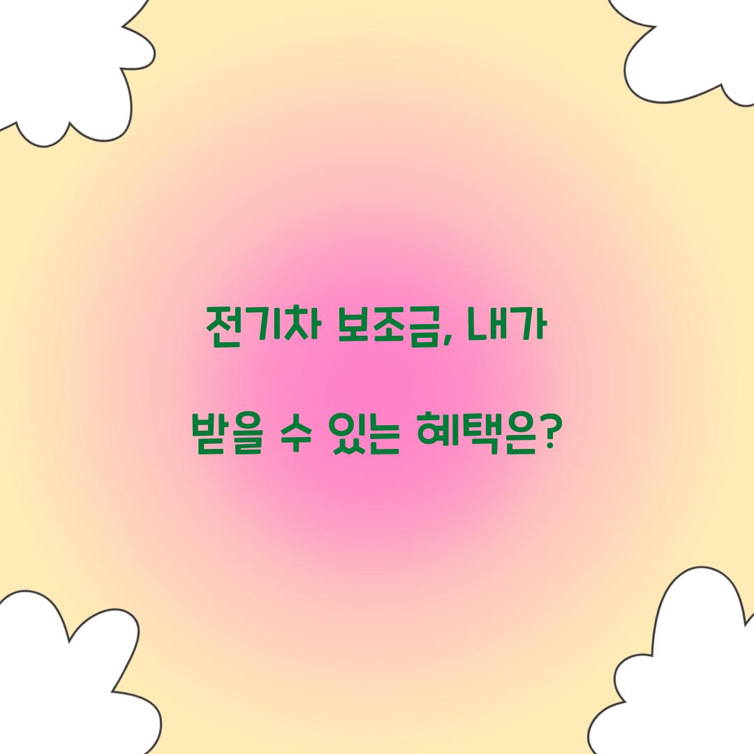 전기차 보조금