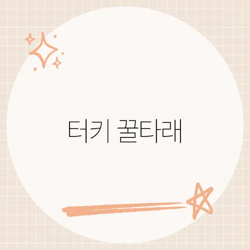 터키 꿀타래, 달콤한 전통 디저트 '피쉬마니예'의 매력 탐방