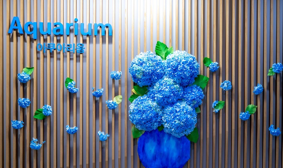 제주 동쪽 가볼만한곳 (아쿠아플라넷 제주)