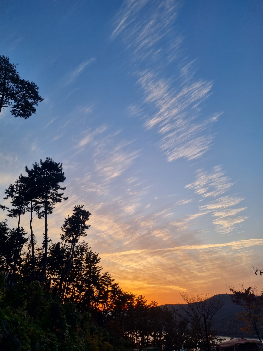 산들바다관광농원