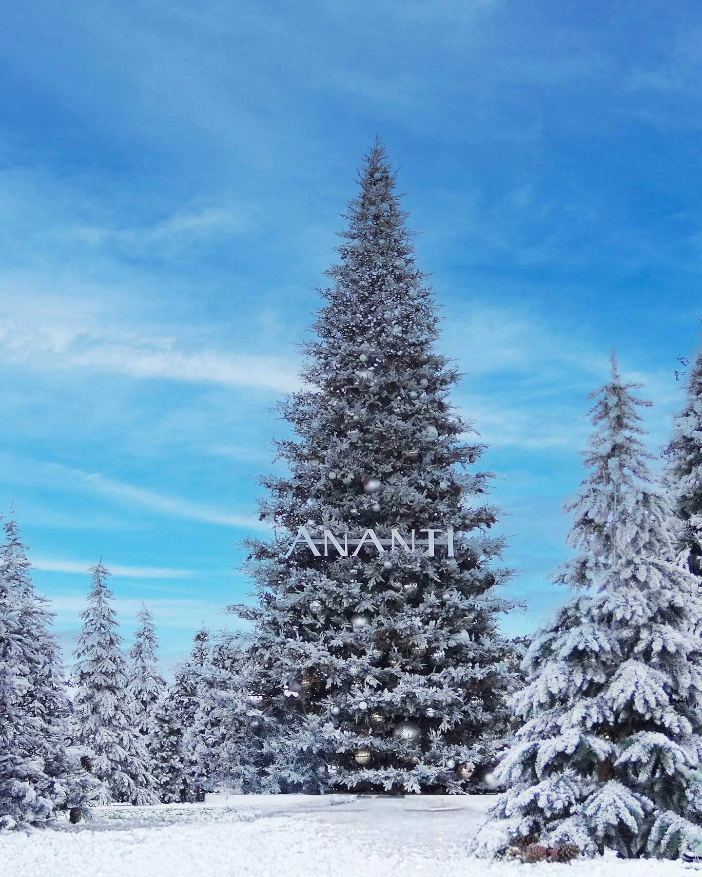 아난티 크리스마스 트리 빌리지의 환상적인 트리 모습