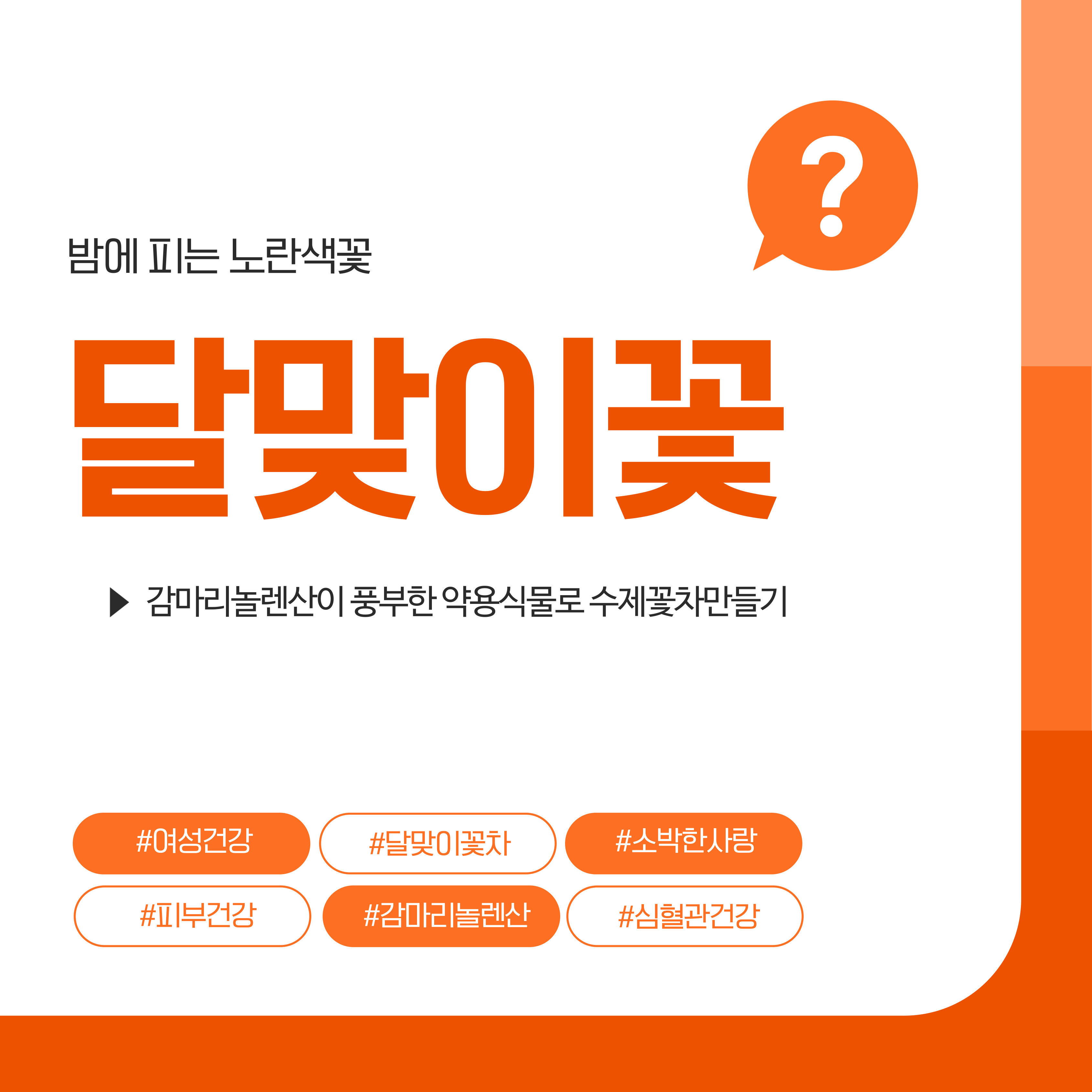 달맞이꽃의 영양과 수제꽃차 만들기