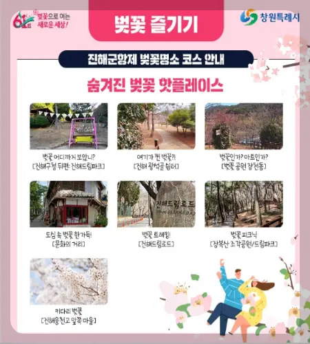 진해군항제 벚꽃축제_7