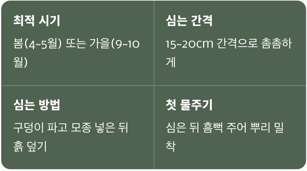 성공적인 첫걸음, 옮겨 심기