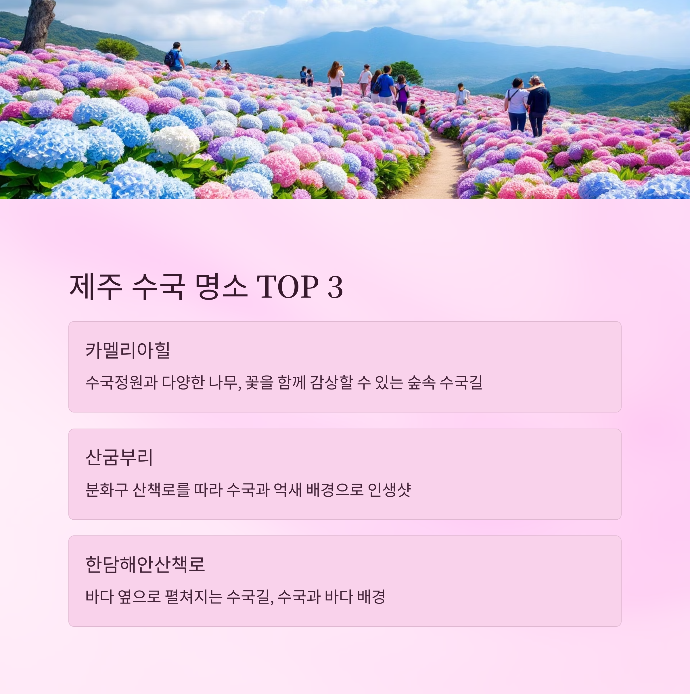 제주도 수국 명소, 여름을 수놓은 푸른 보석