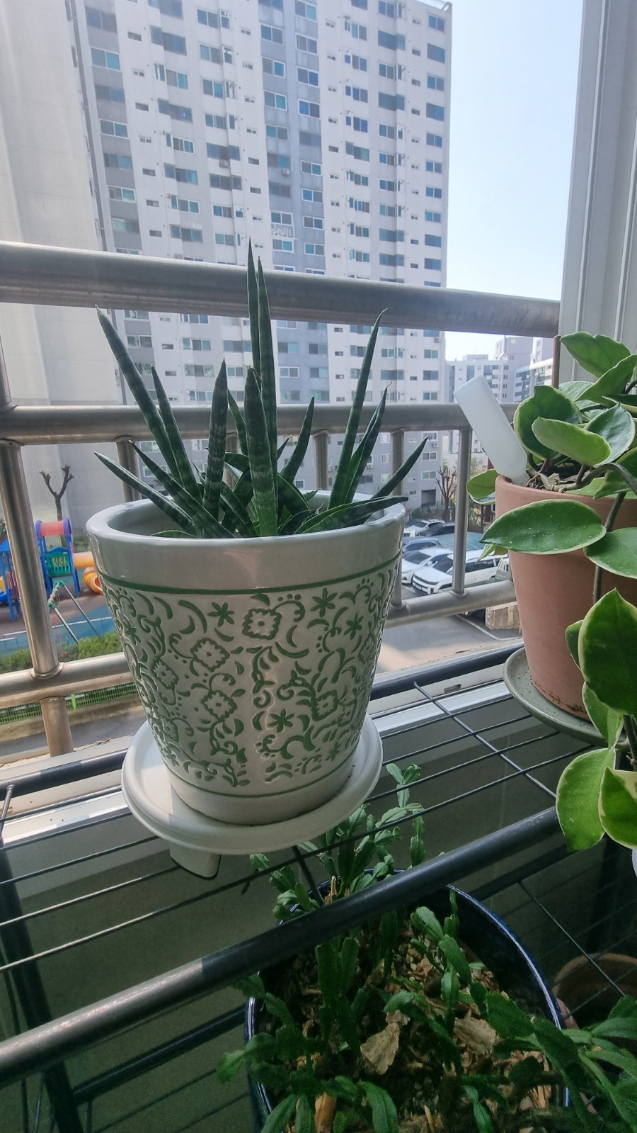 스투키