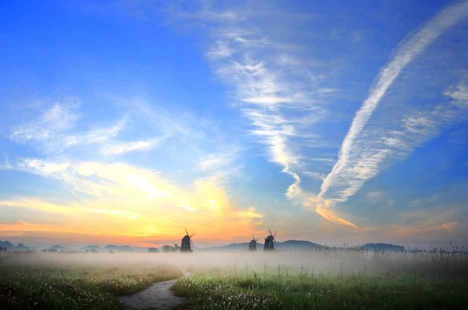 소래습지생태공원