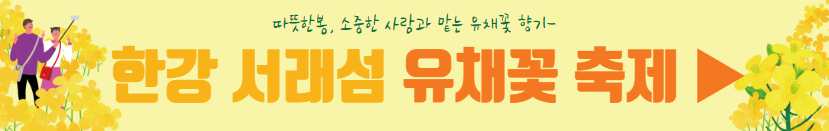 한강 서래섬 유채꽃 축제