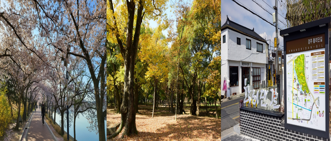 경주의 산책하기 좋은 길 : 보문호수길, 계림숲, 황리단길