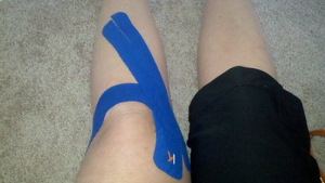 콘드로이친_효능