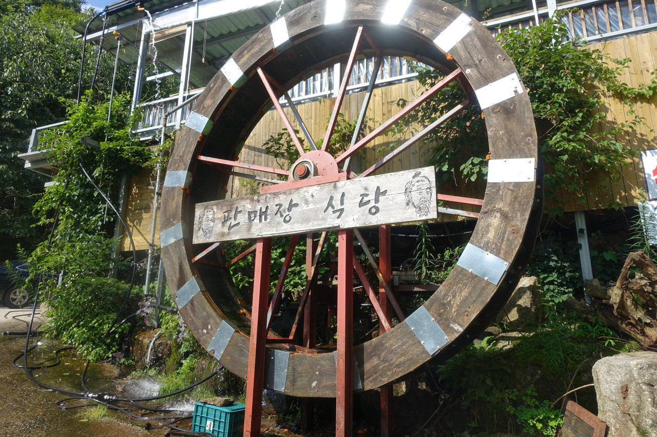 6시내고향 백숙