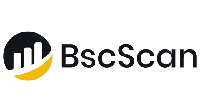 BSC 스캔